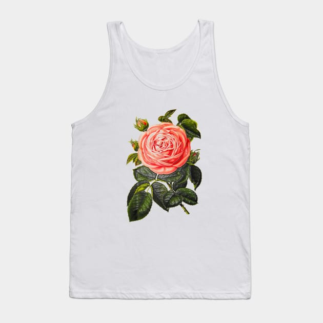 rosebud with green leaves Tank Top by Marccelus